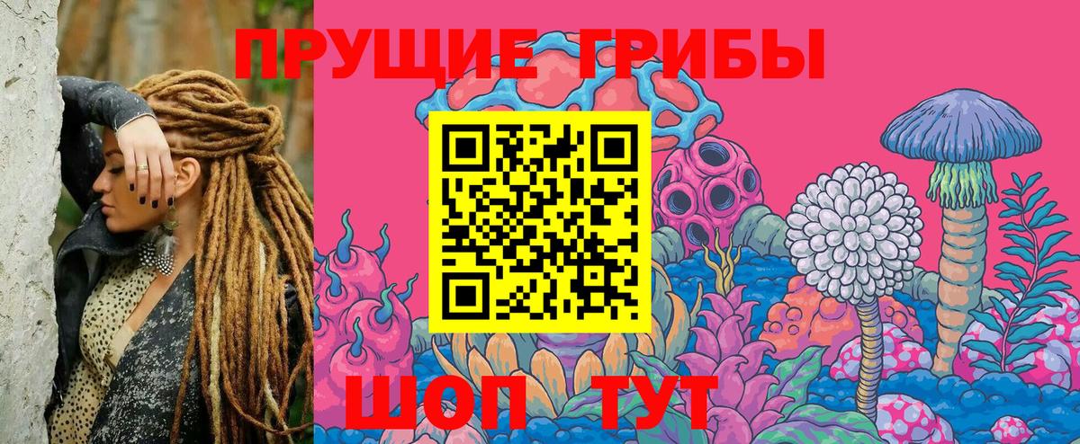 Псилоцибиновые грибы Cubensis Касимов